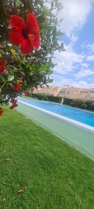 Bungalow Avec Piscine 또레비에하 외부 사진