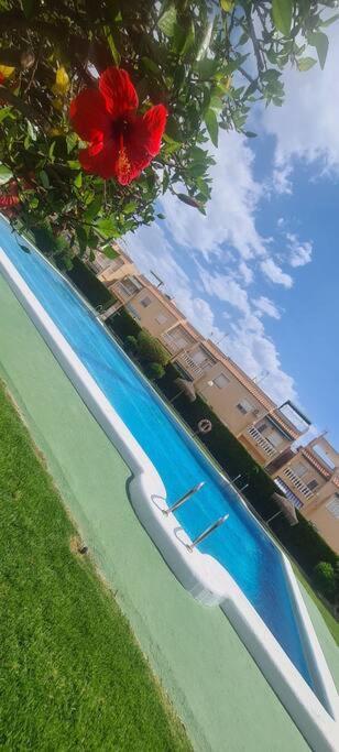 Bungalow Avec Piscine 또레비에하 외부 사진