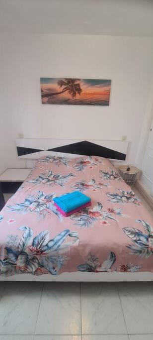 Bungalow Avec Piscine 또레비에하 외부 사진